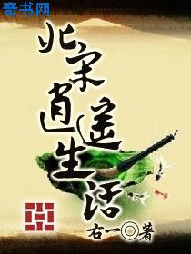 三生三世之宸汐缘小说