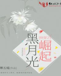 电影《青春》韩剧免费观看