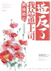 桥本有菜哪部作品最好