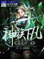 火柴人战争遗产无敌版