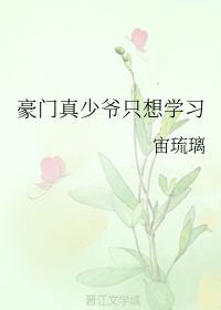 姐姐的菊花蕾