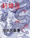 红楼梦龙阳版