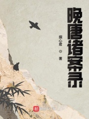 精英律师免费在线观看