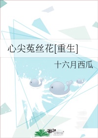 四川在线城市论坛城市