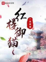 哈利波特与密室免费完整版