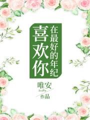 杨门女将人成版小说