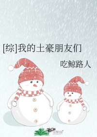 无限后宫系统