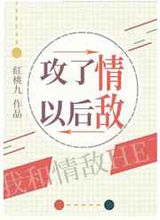 沃野布吉岛完整版视频