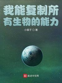 雷电将军乳液VX网站入口