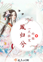 全职白莲花快穿