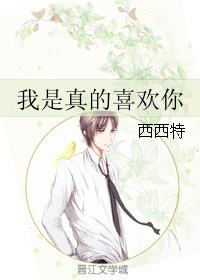 极品公子之杨疑冰全文