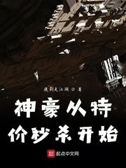 50度灰小说完整版