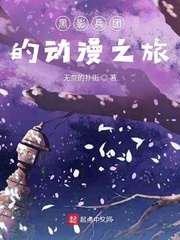 winbox中文版