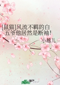 妻子韩剧在线观看免费完整版