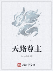 龙之谷魔法师转什么好