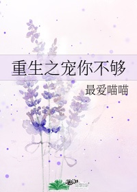 办公室的秘密赵雪晴第11章