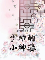 掩去也