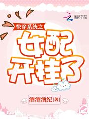 攵女乱系列合集小兰