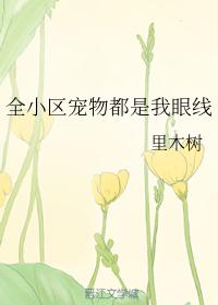 韩国悲惨事件19部芸能