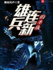 1980美式保罗雪莉3国语