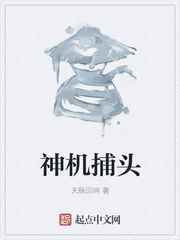 将军小说苏他沈诚温全文免费阅读