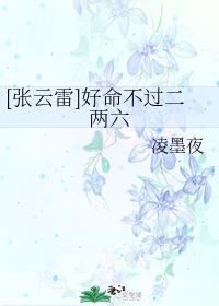 精英律师电视剧48集免费观看