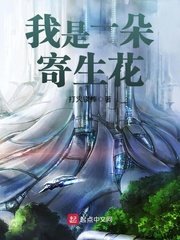 狐狸影院免费版