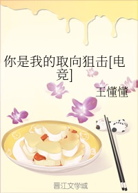 老师的秘密小说