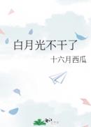 舒慧全文在线阅读全文