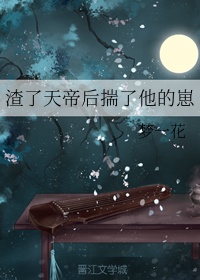 薛家将薛刚胔母探桃源