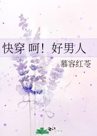 沉沦的校花