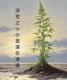 在瑜伽球上要了我