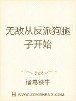 宝丽金20年演唱会高清