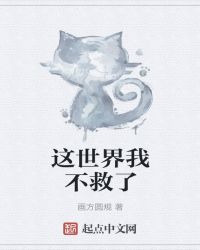 《饺子》打扑克