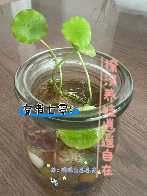 津门奇案