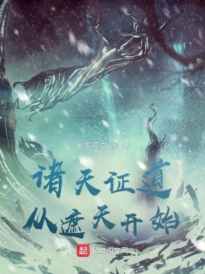 JAVAPARSER教师HD