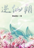 沉沦的校花