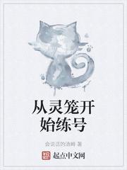 小泽爱丽丝