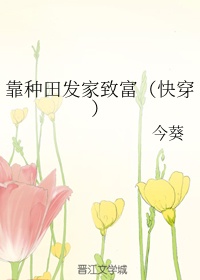 姐姐的菊花蕾