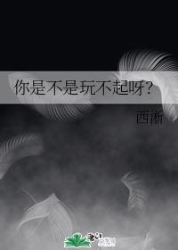 二哈的白猫师尊无删减