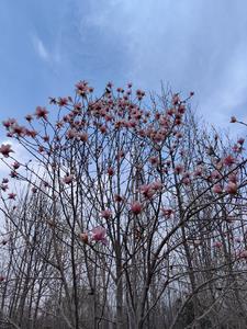 学园天堂动漫