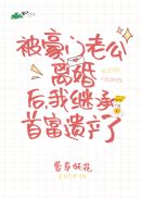 大军师司马懿之虎啸龙吟百度云