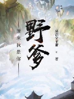 陈天阳苏沐雨全文大结局