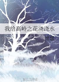 三国无双本子