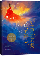 台湾流星花园