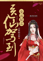 魔道祖师车图